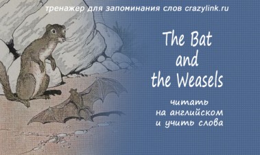 The Bat And The Weasels