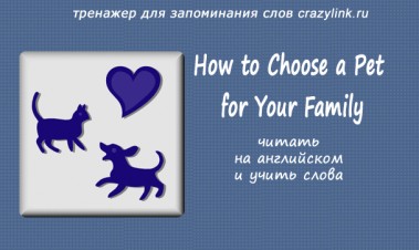 How to Choose a Pet for Your Family