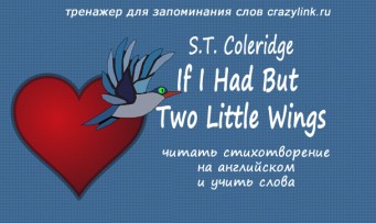 If I Had But Two Little Wings