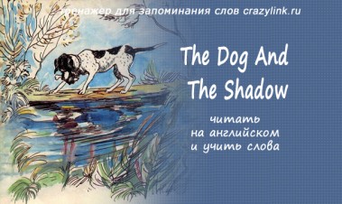 The Dog And The Shadow